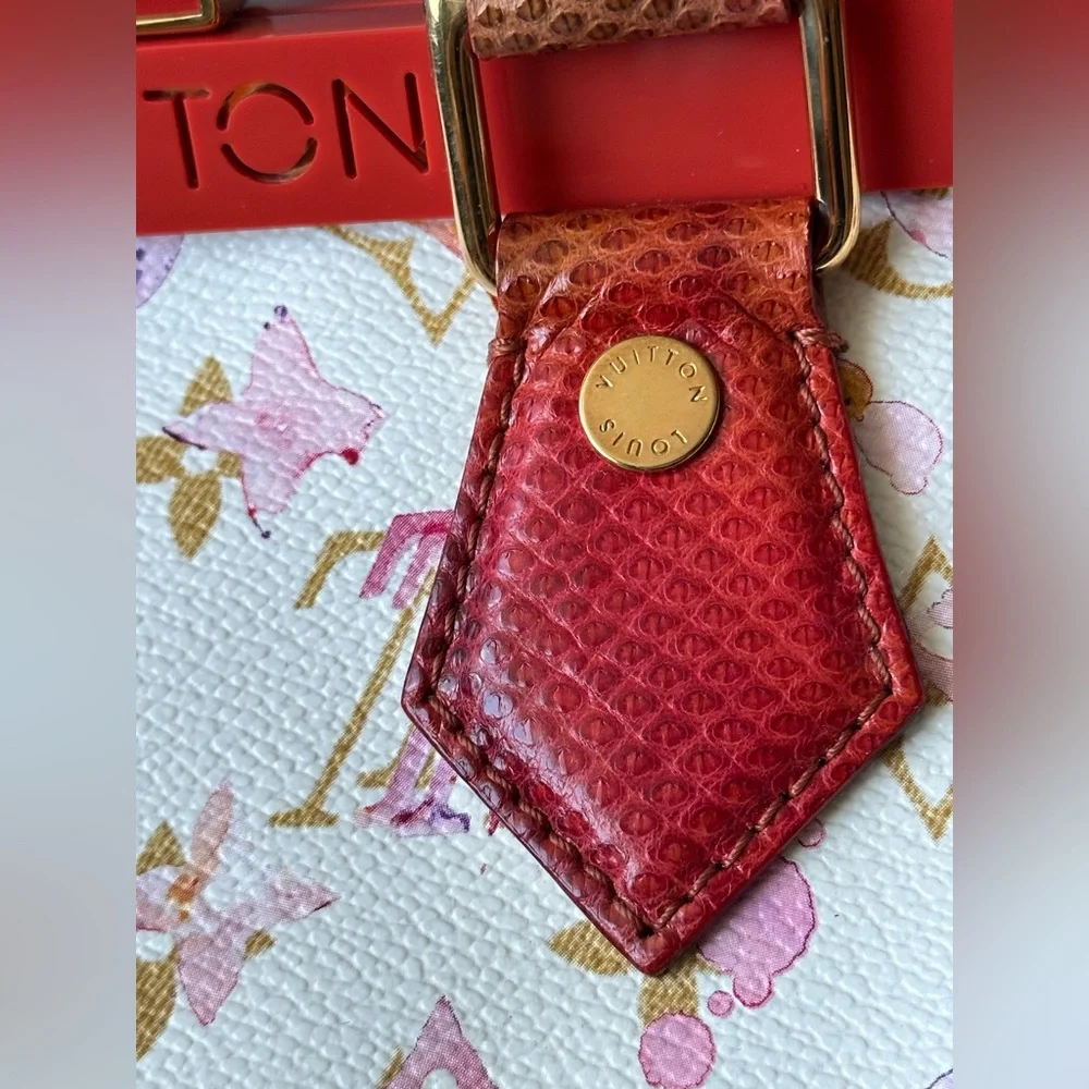 Louis Vuitton MONOGRAM WATERCOLOR FRAME SPEEDY with snakeskin trim - Picture 11 of 13